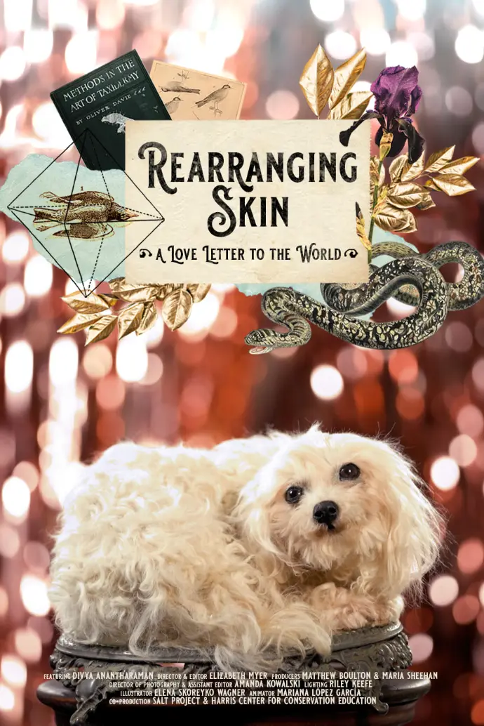 Rearranging Skin